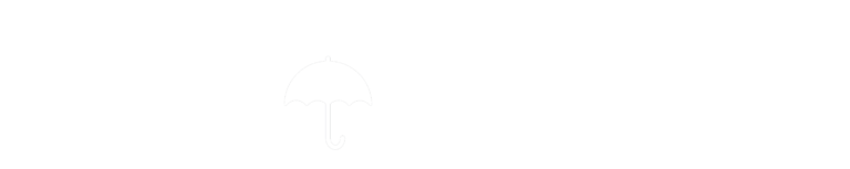 Vivid Logo White